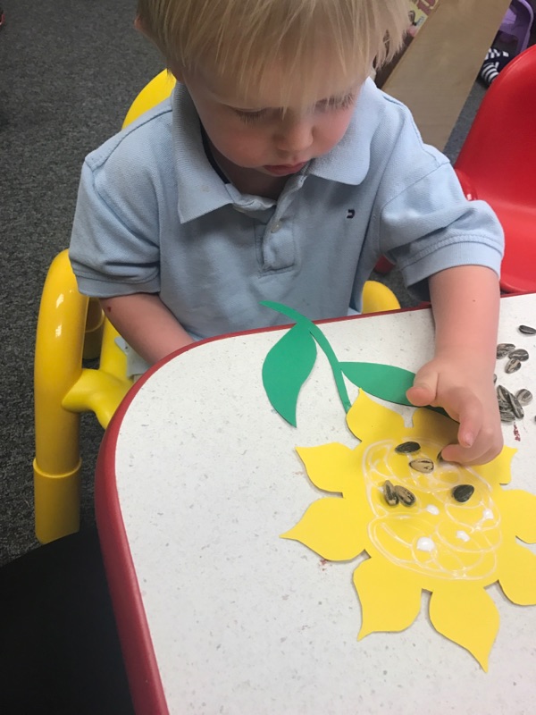 St. Mark's Episcopal School's Photo
