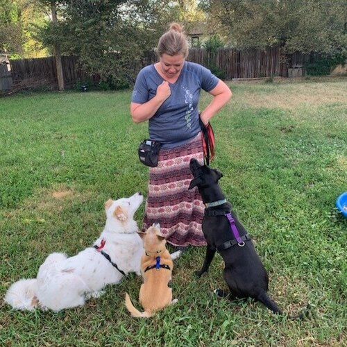 Kindred Canine, LLC's Photo