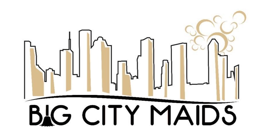 Big City Maids's Photo