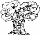 The Learning Tree Childcare