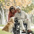 Caresify