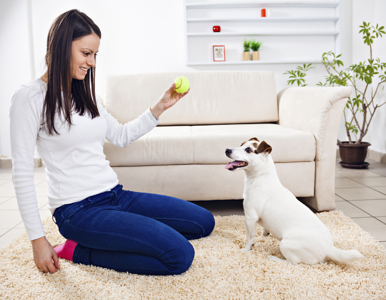 Zen Pet Sitting and Zen Dog Walker's Photo