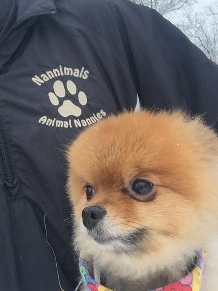Nannimals, LLC's Photo
