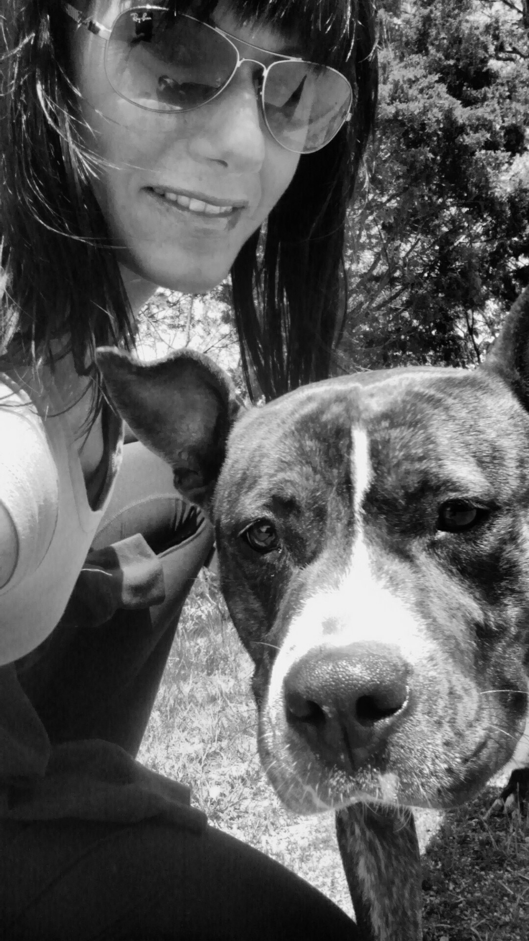 Love My Dog Daycare Co.'s Photo