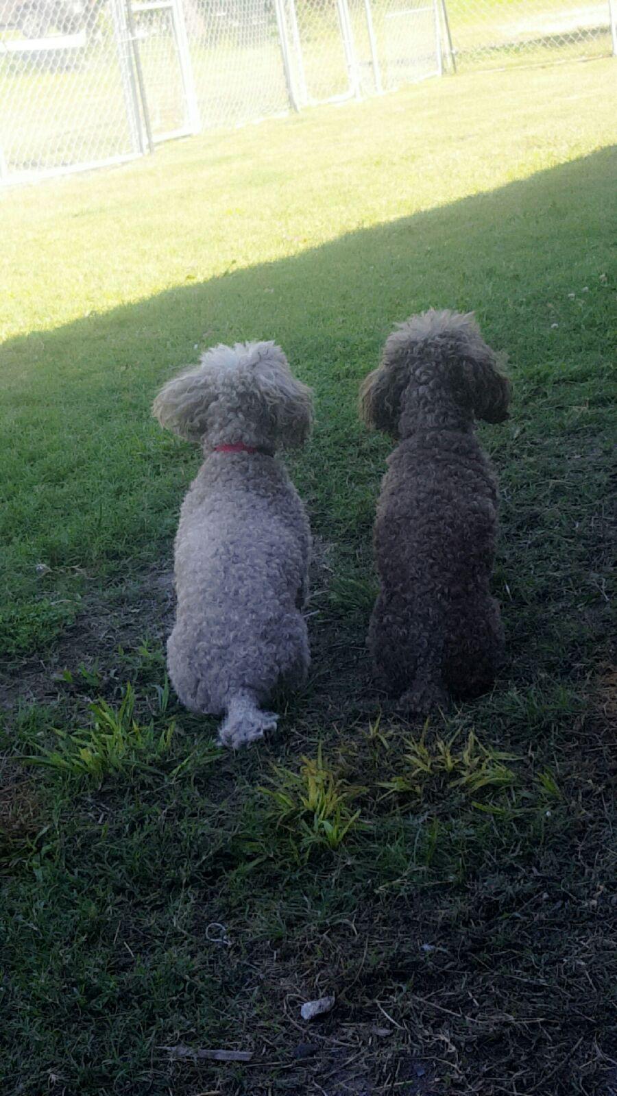 All God's Creatures's Photo