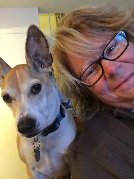 Who Walks Your Dog?'s Photo