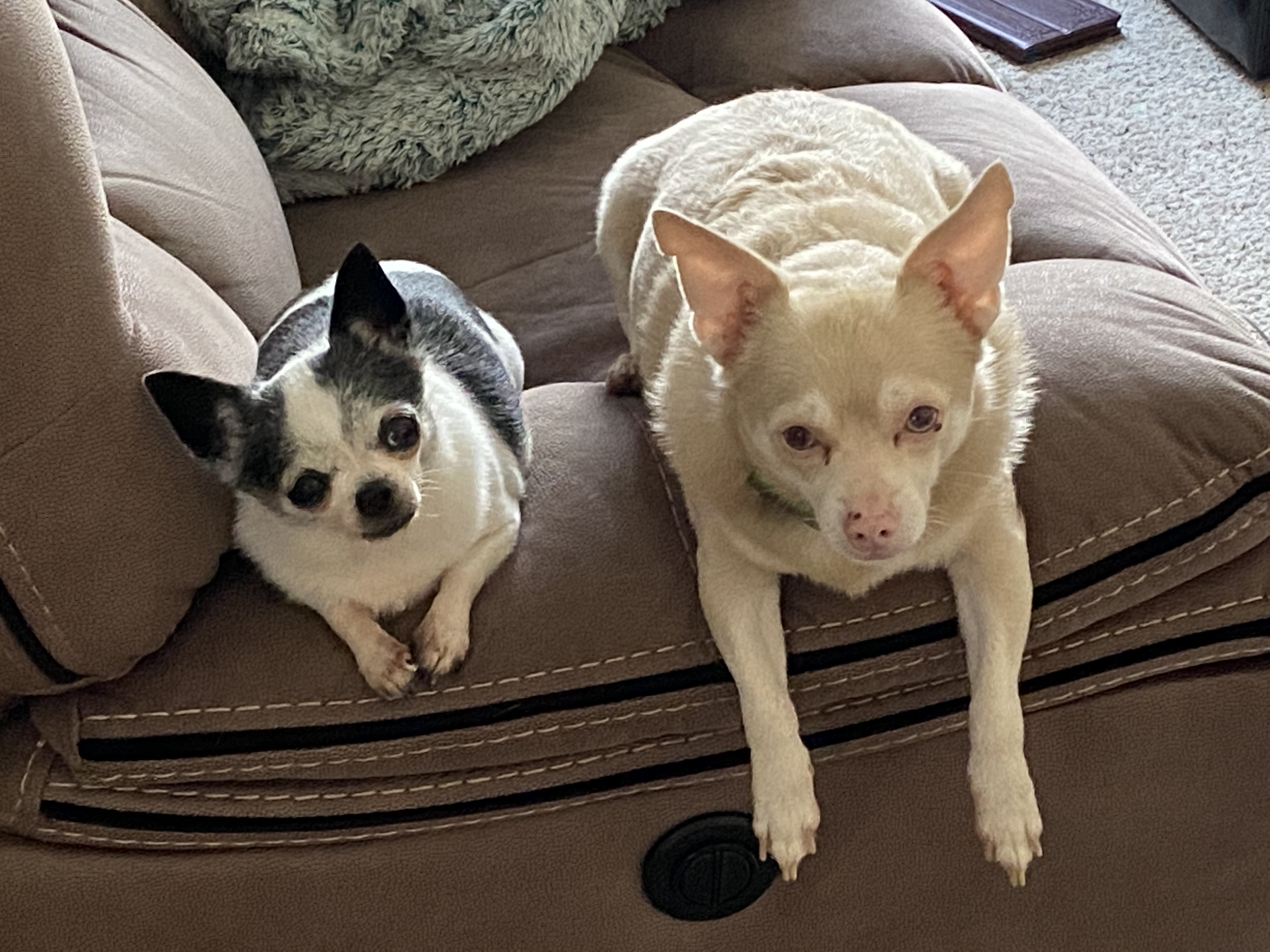 Valerie's Helping Hands's Photo