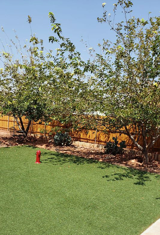 Red Mountain Pet Tender's Photo