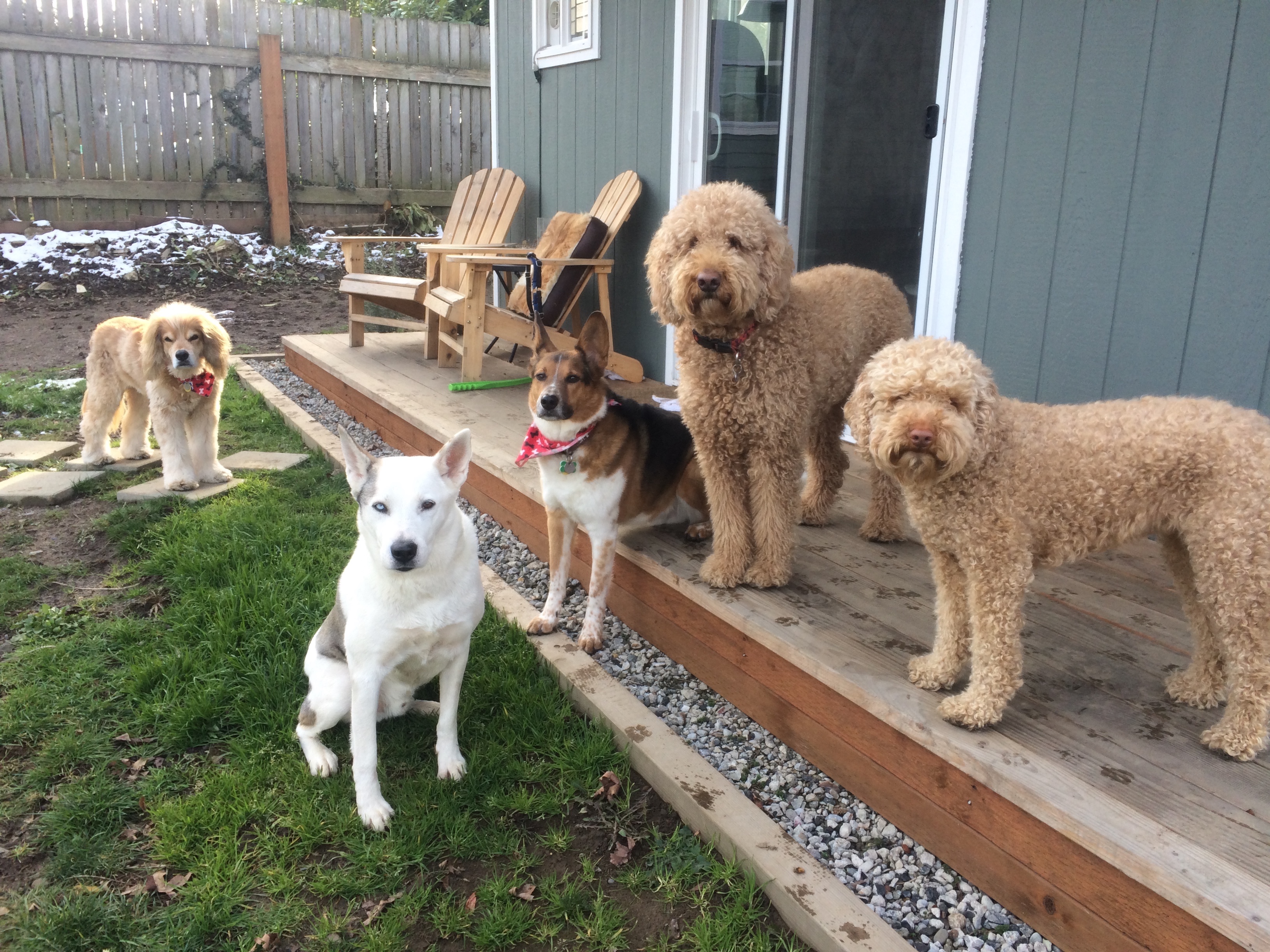 Rainy Day Resort's Photo