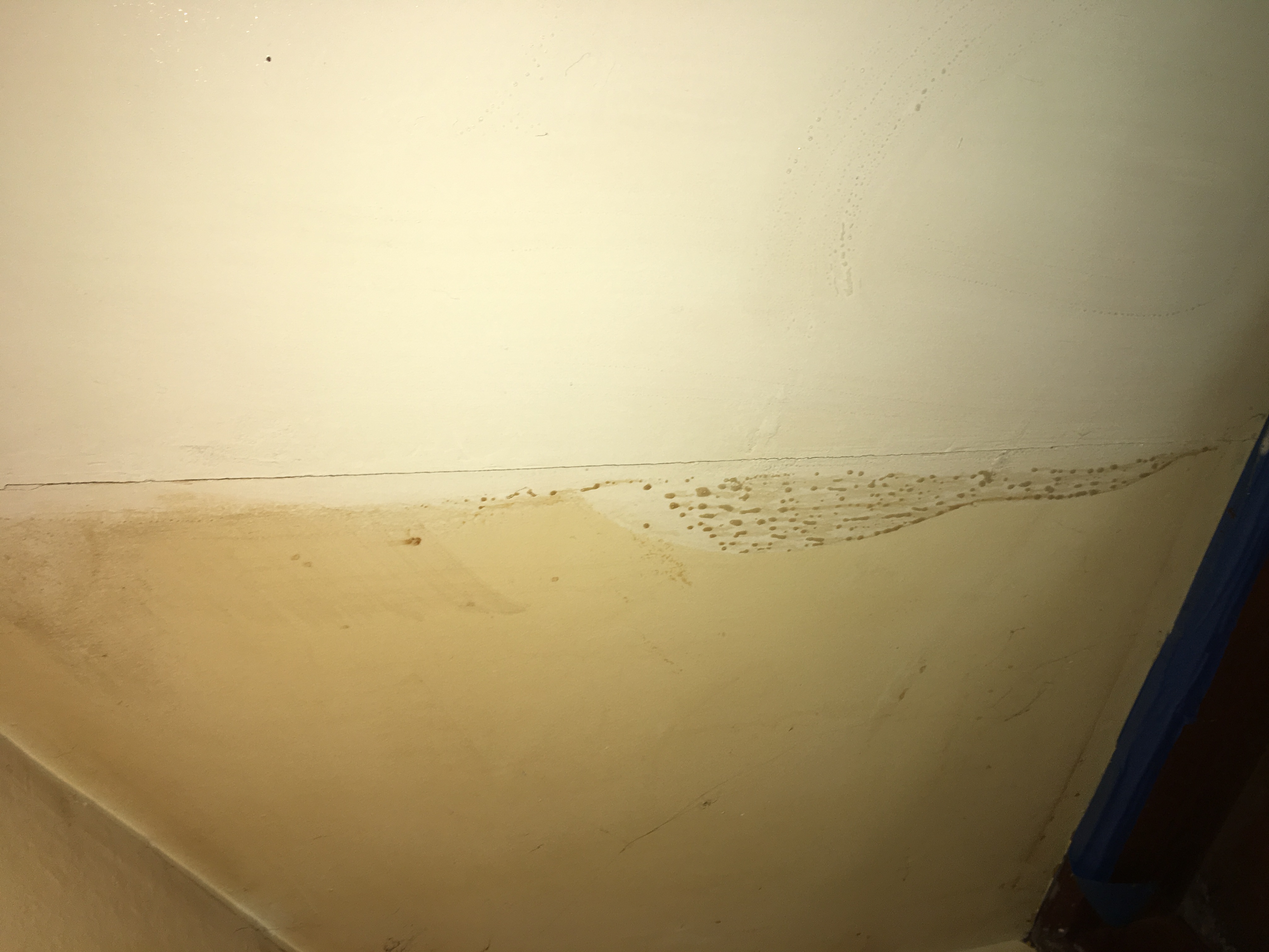 Lady Bug Home Cleaning Services's Photo