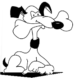 Critter Crazy Pet Sitting's Photo