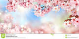 Cherry Blossoms Montessori Home