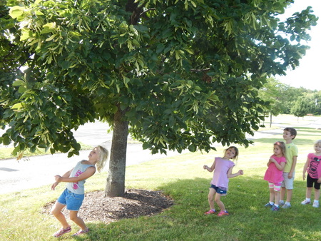Christ the Life Preschool & Childcare
