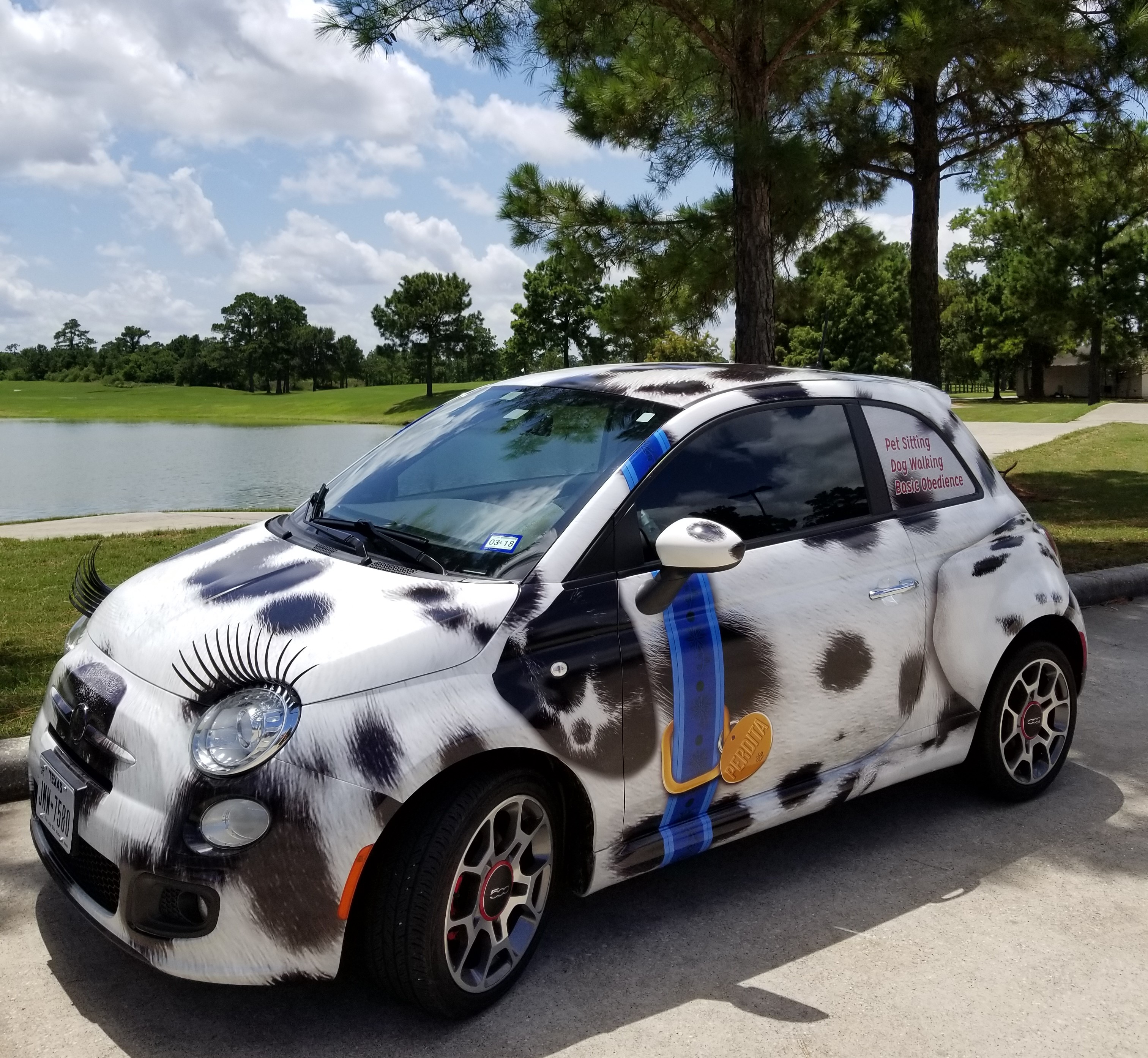 Texas Claws & Paws's Photo