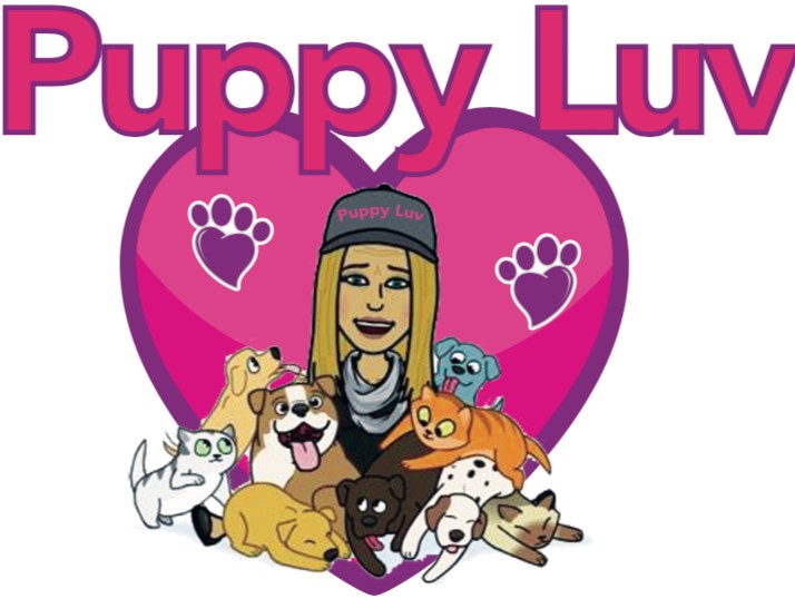 Puppy Luv Pet Services's Photo