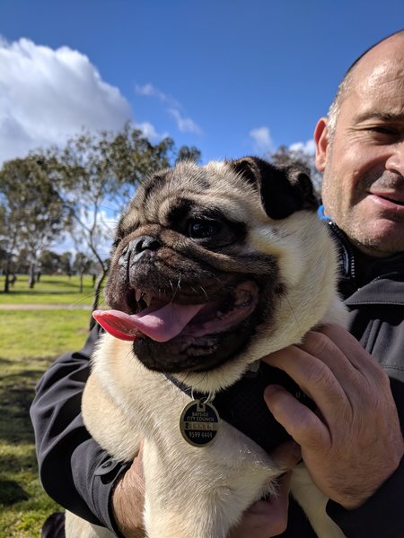 Edgebrook Dog Walking and Sitting Services