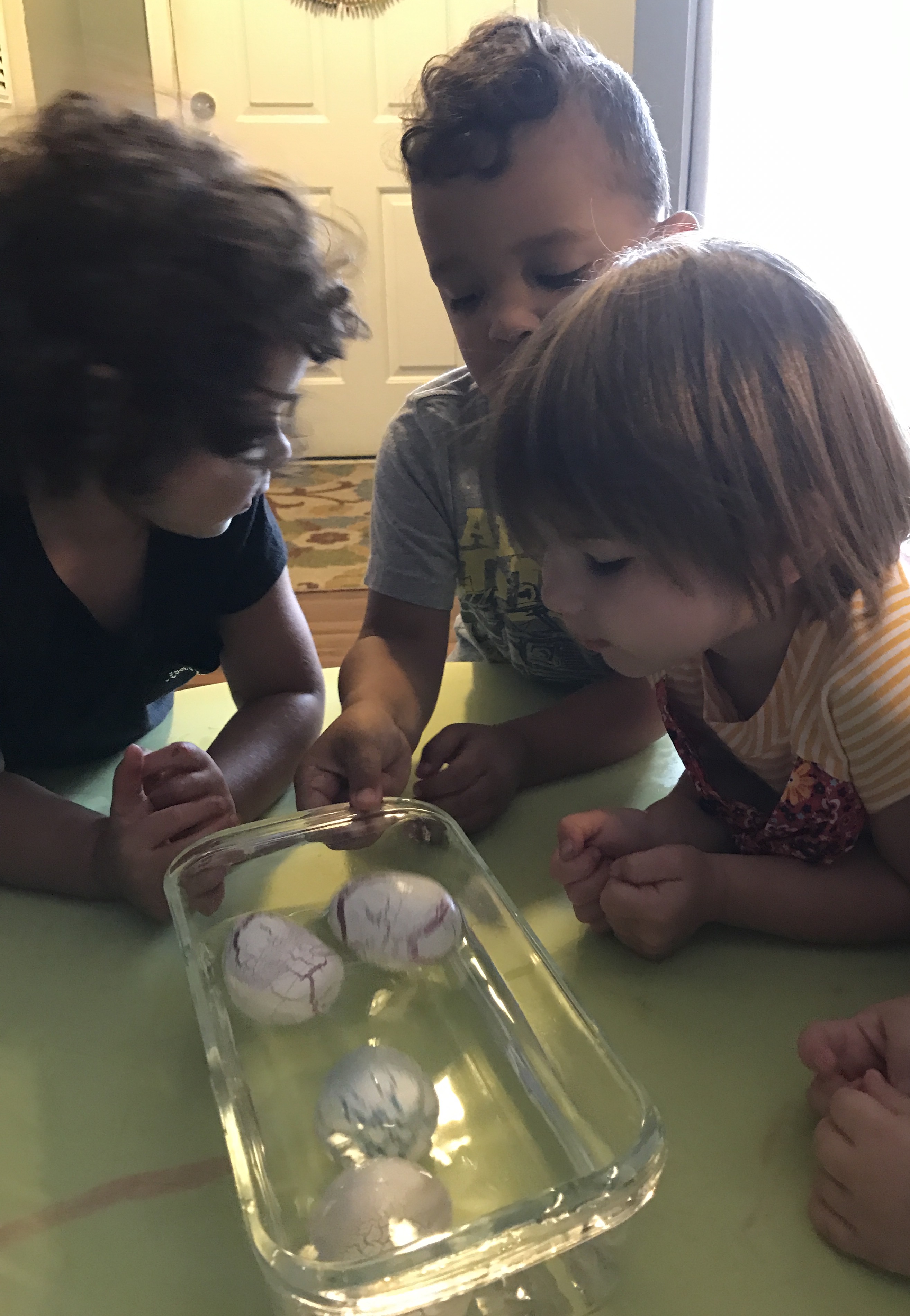 Mini Bumblebees Kids Care's Photo