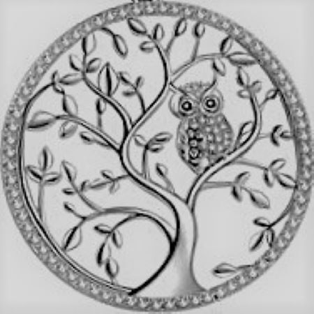 Wise Owls Academy's Photo