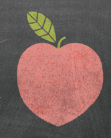 Csa Literacy Support Logo