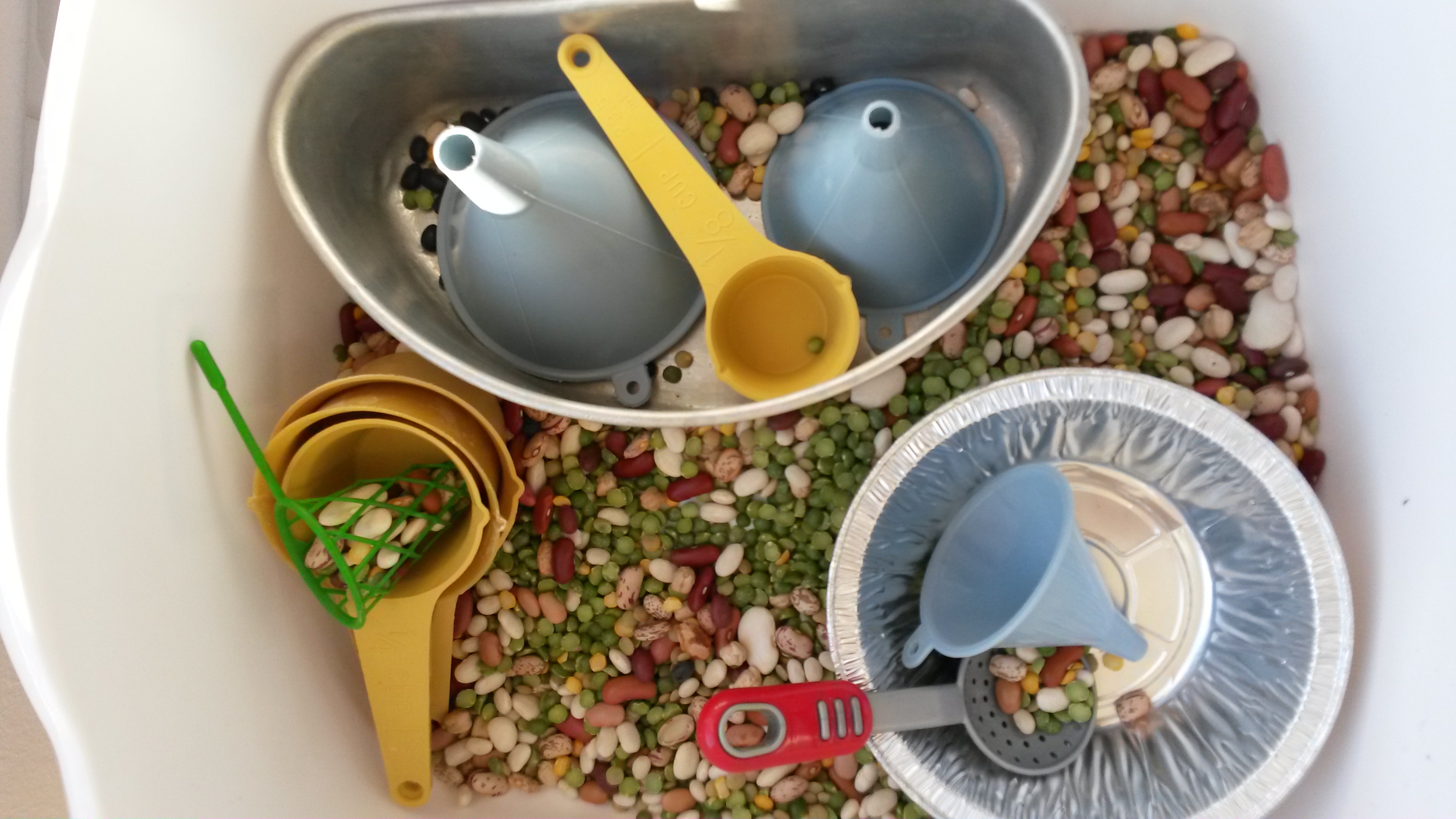 Sunny Bunnies Play Care Center, LLC's Photo