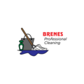 Brenes Professional Cleaning