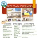Pro Team Cleaners