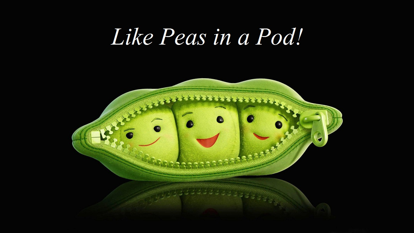 Sweet Peas Childcare's Photo