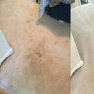 BB Carpet Cleaning
