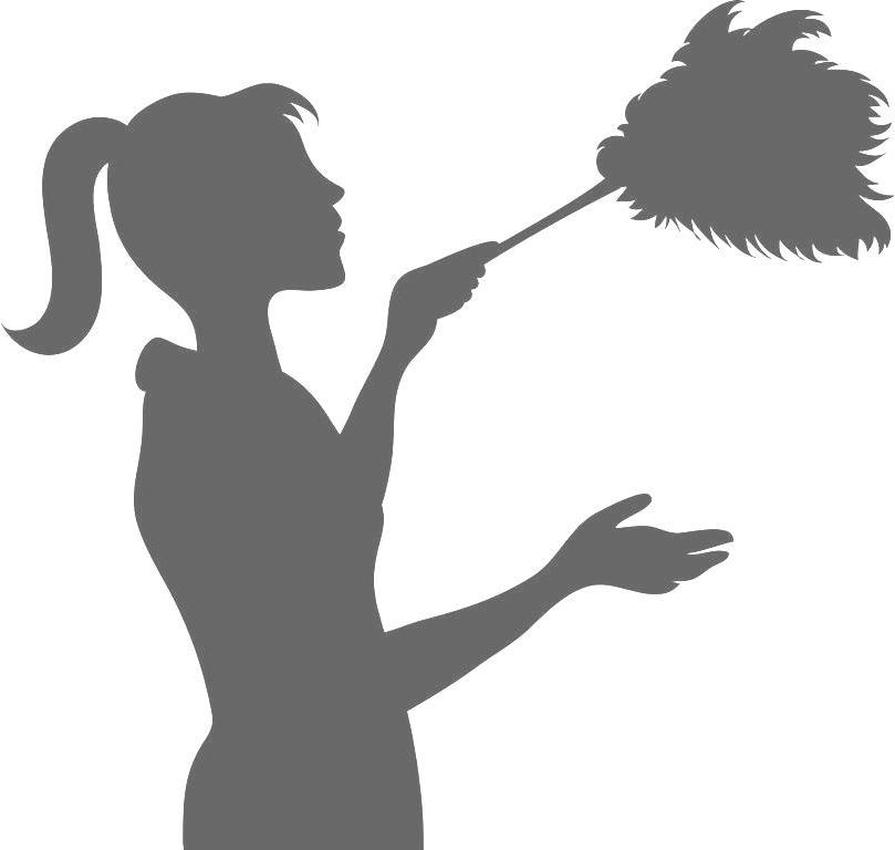 Nic's Custom Cleaning's Photo