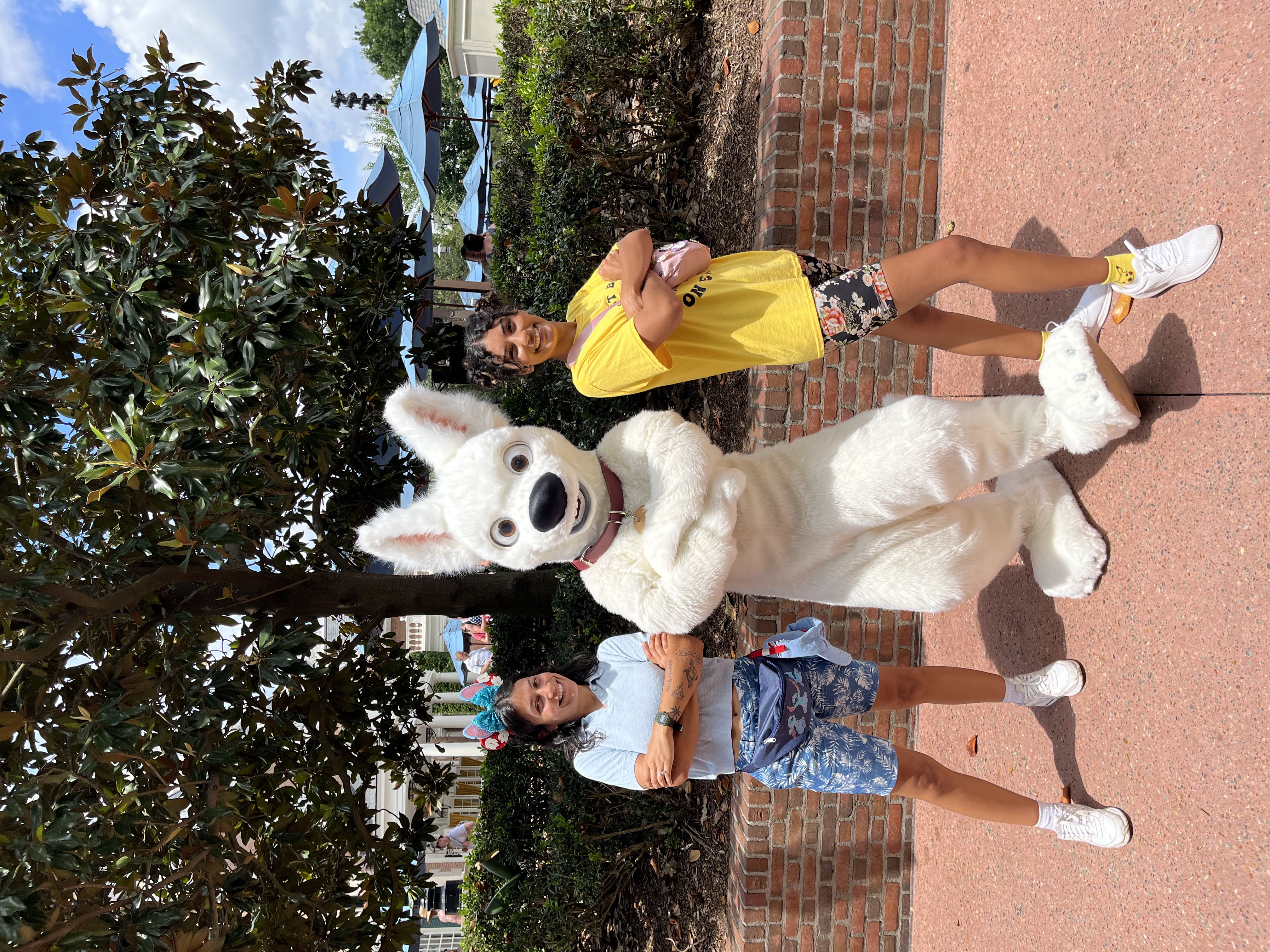 Pixie Dust Nanny Services Logo