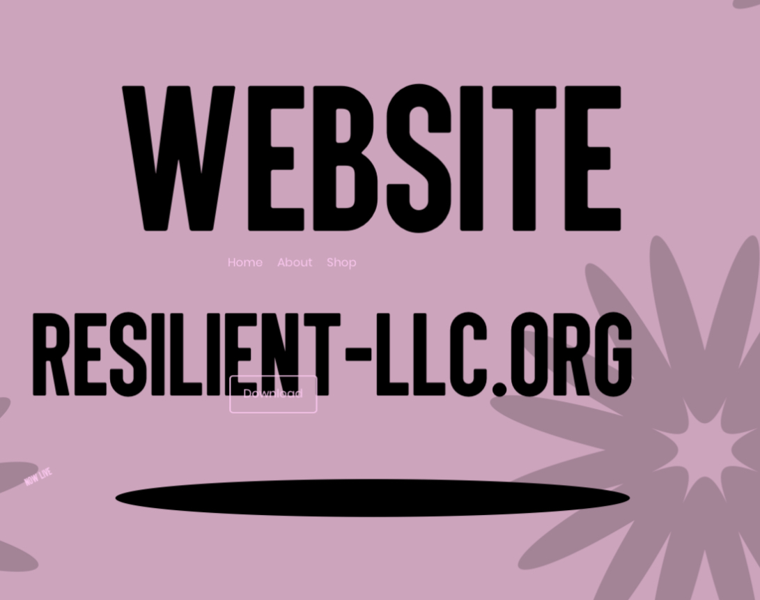 Non-medical Resilient home care LLC.'s Photo