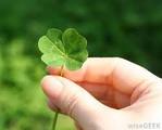 Tiny Clovers Daycare