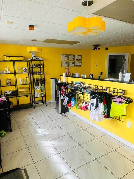 CatDog Grooming Salon