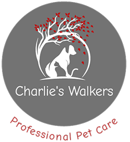 Charlie's Walkers's Photo