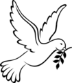 PEACE Homecare, Inc.'s Photo