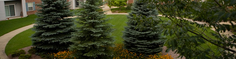 Independence Village of White Lake's Photo