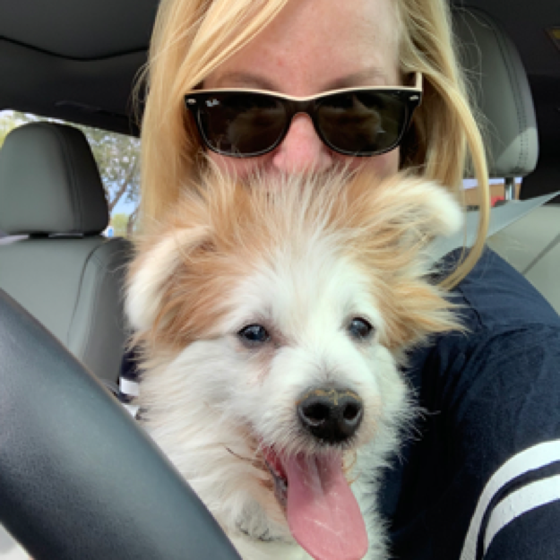Pet Sitting Arizona's Photo