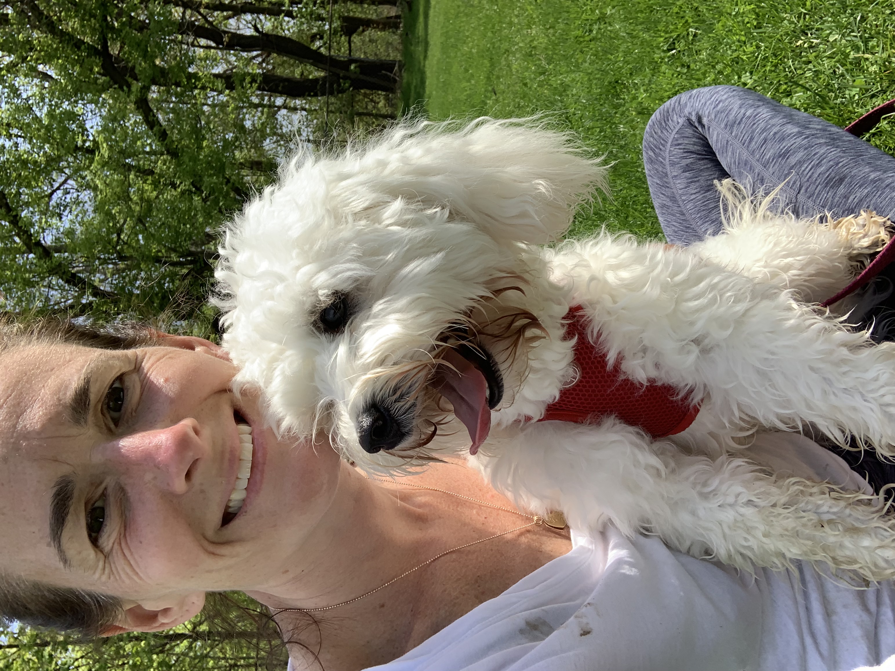 Dog Doters LLC's Photo