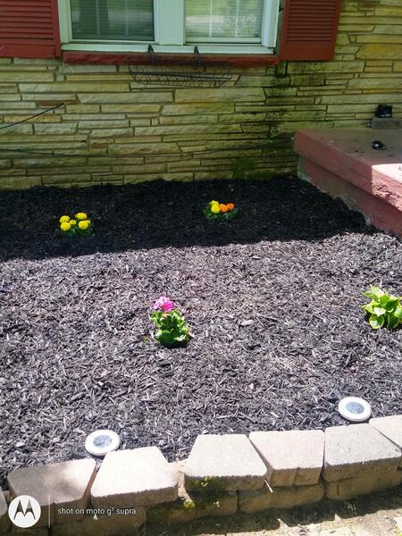 Total Job Cleaning's Photo