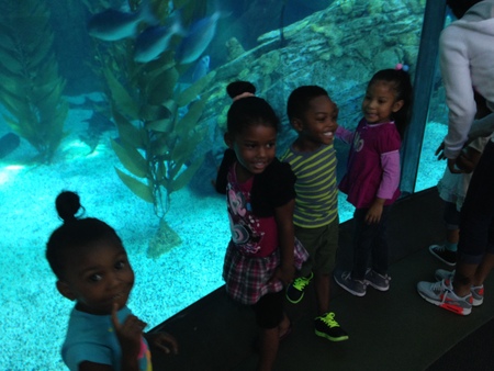 Green's 24 Hr Family Child Care, Inc's Photo