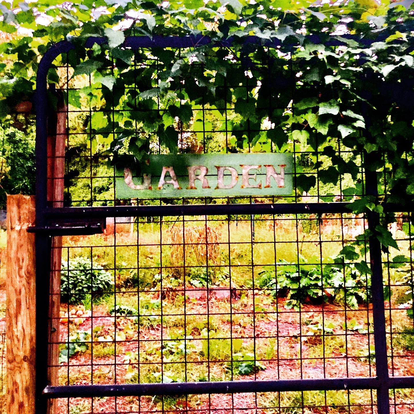 The HK Institute of Wonder & Play's Photo