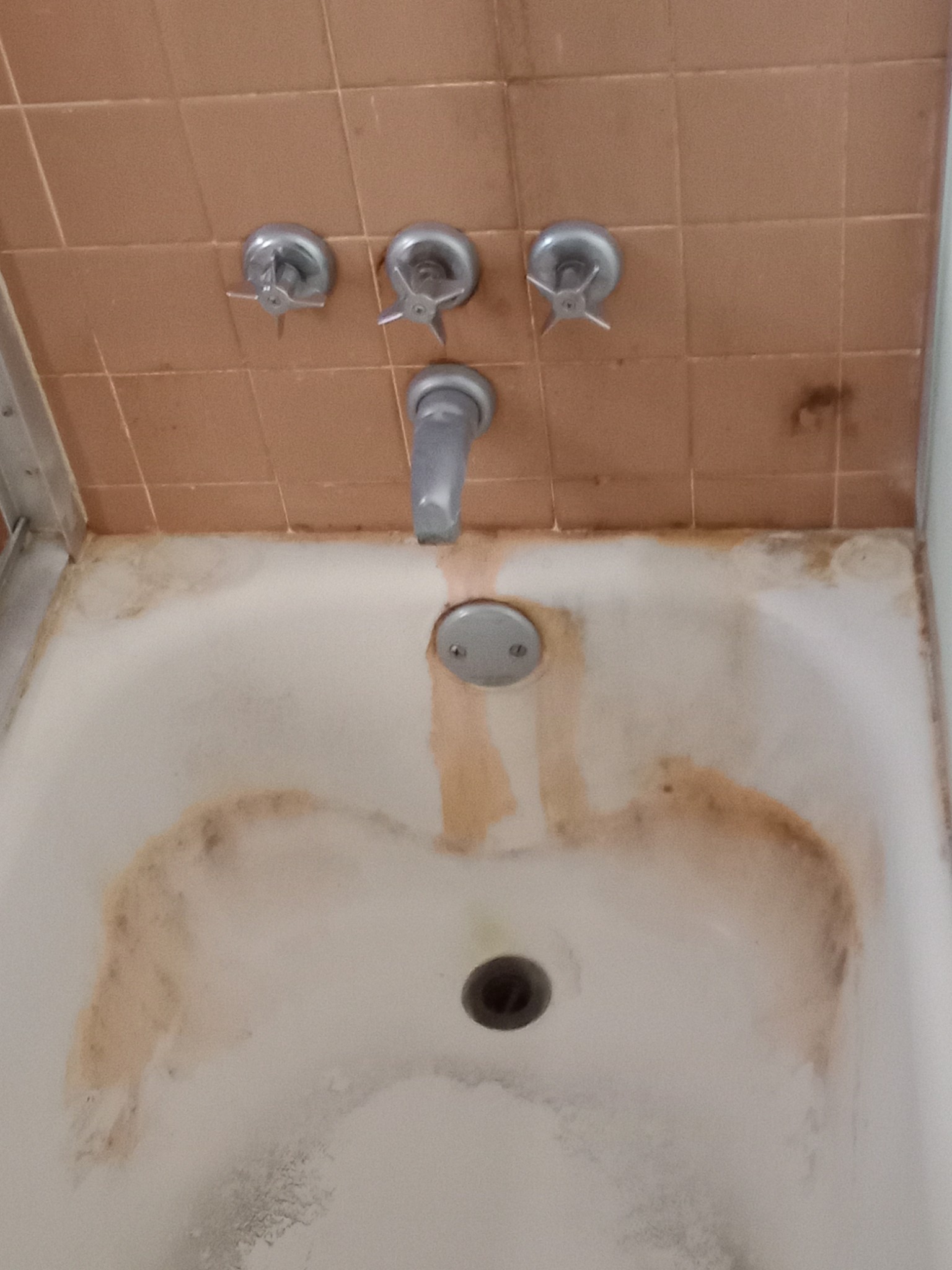 The Valley Clean Team's Photo