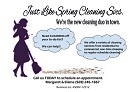 Just Like Spring Cleaning Svcs's Photo