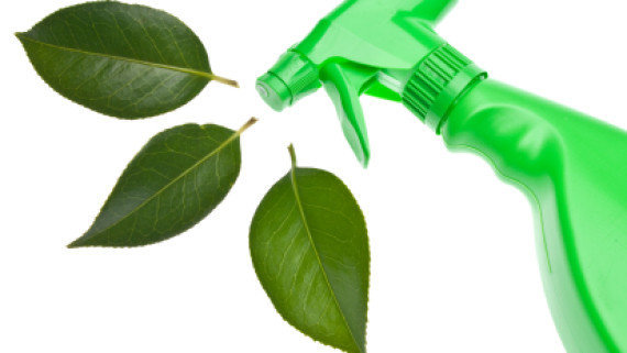 Tidy Thompson's All Natural Cleaning Logo