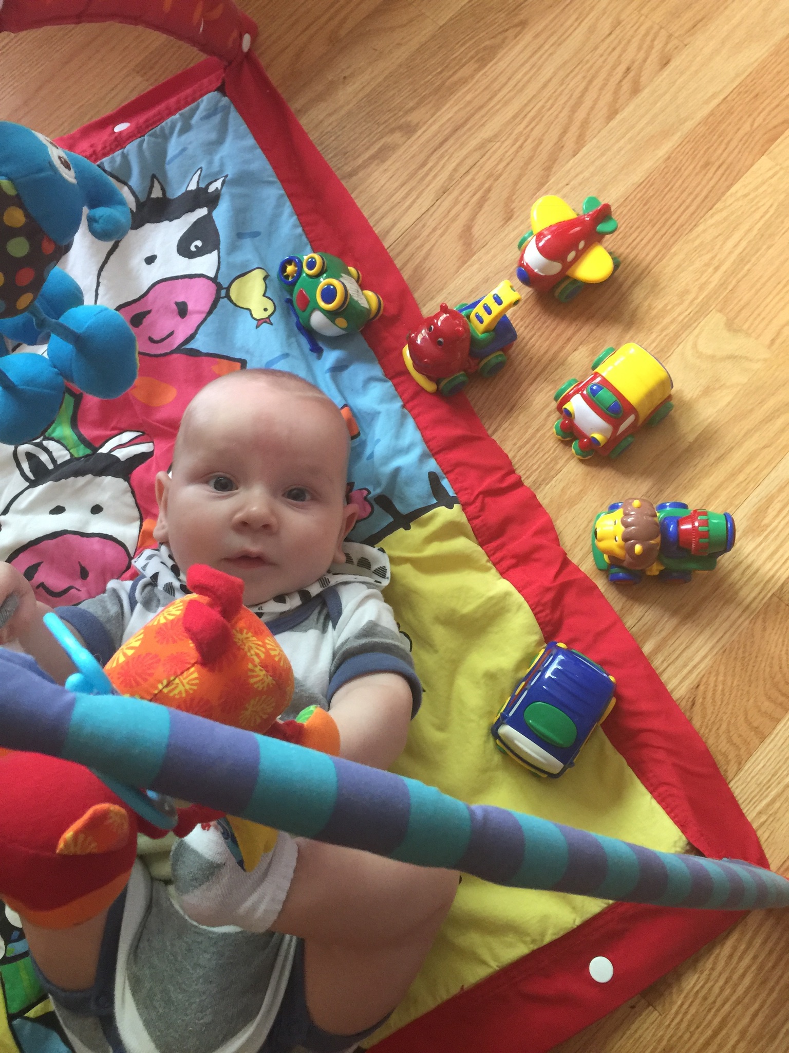 Lena's Learning Home's Photo