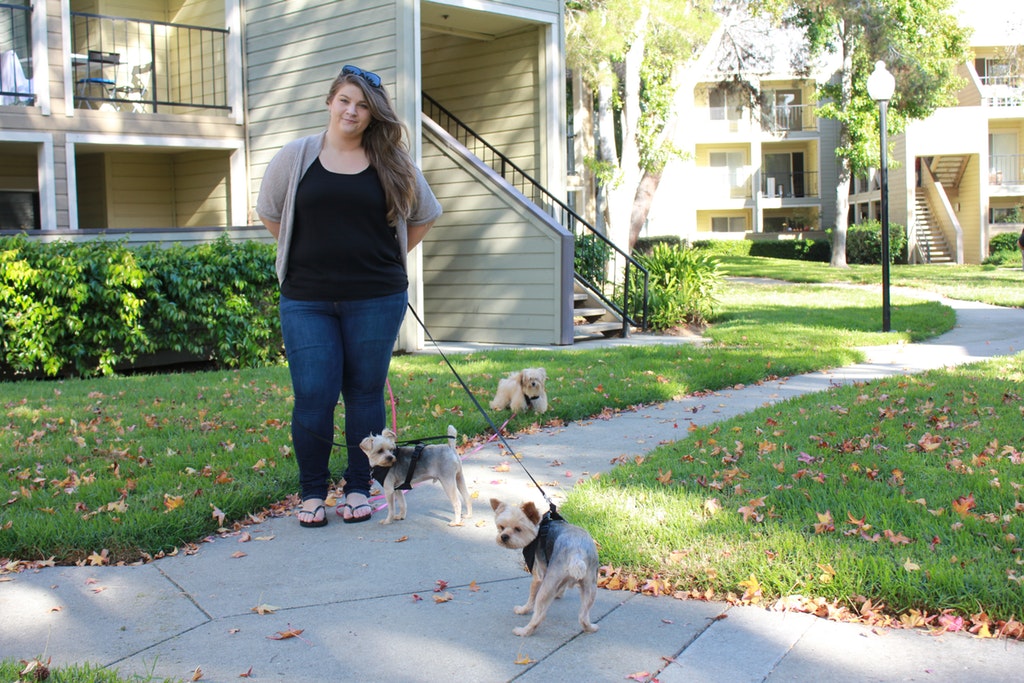 L Paws Dog Care's Photo