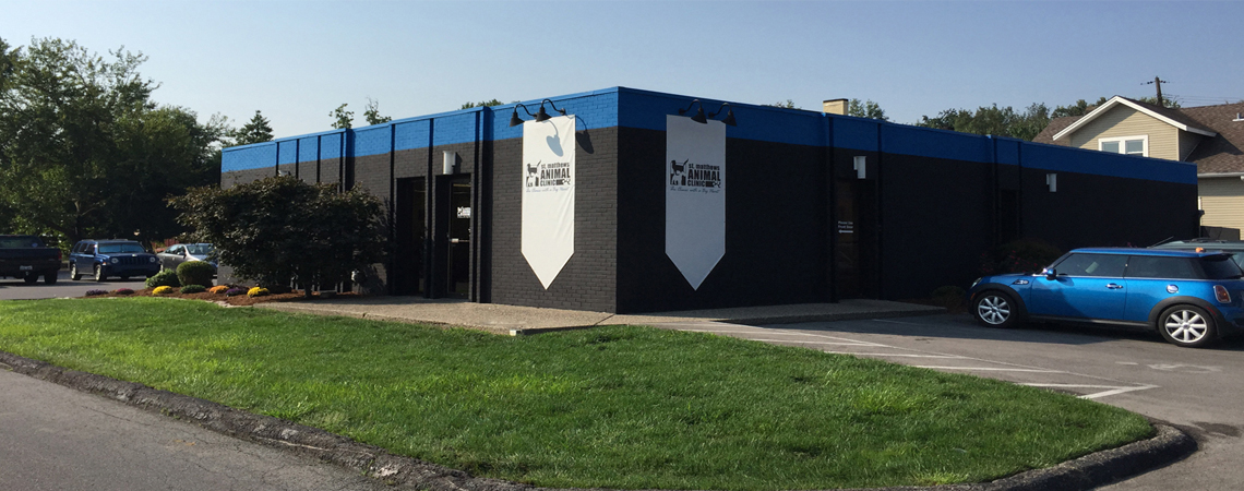 St. Matthews Animal Clinic's Photo