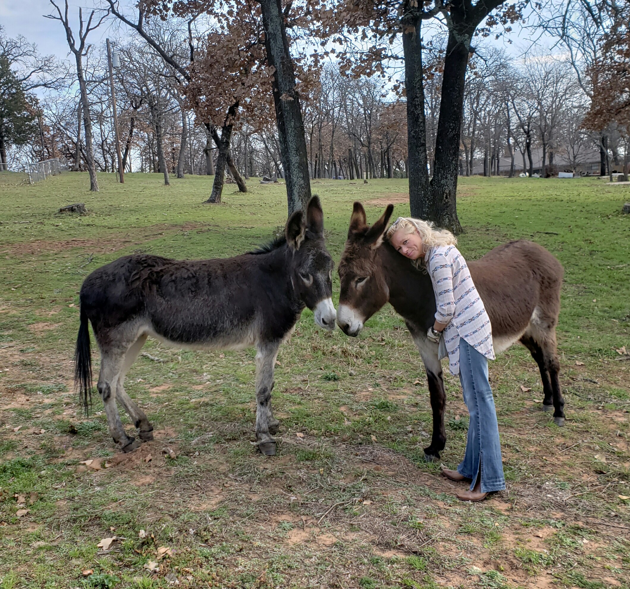 JULES PROFESSIONAL ANIMAL CAREGIVING SERVICE's Photo