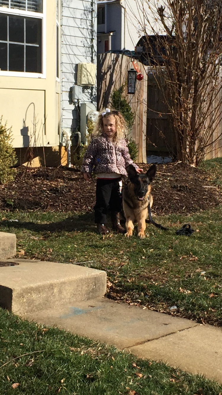 Metropolitan K-9's Photo