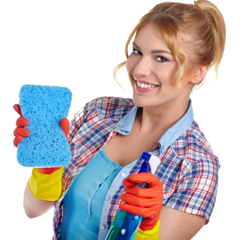 Lilly's Green Cleaning Services's Photo